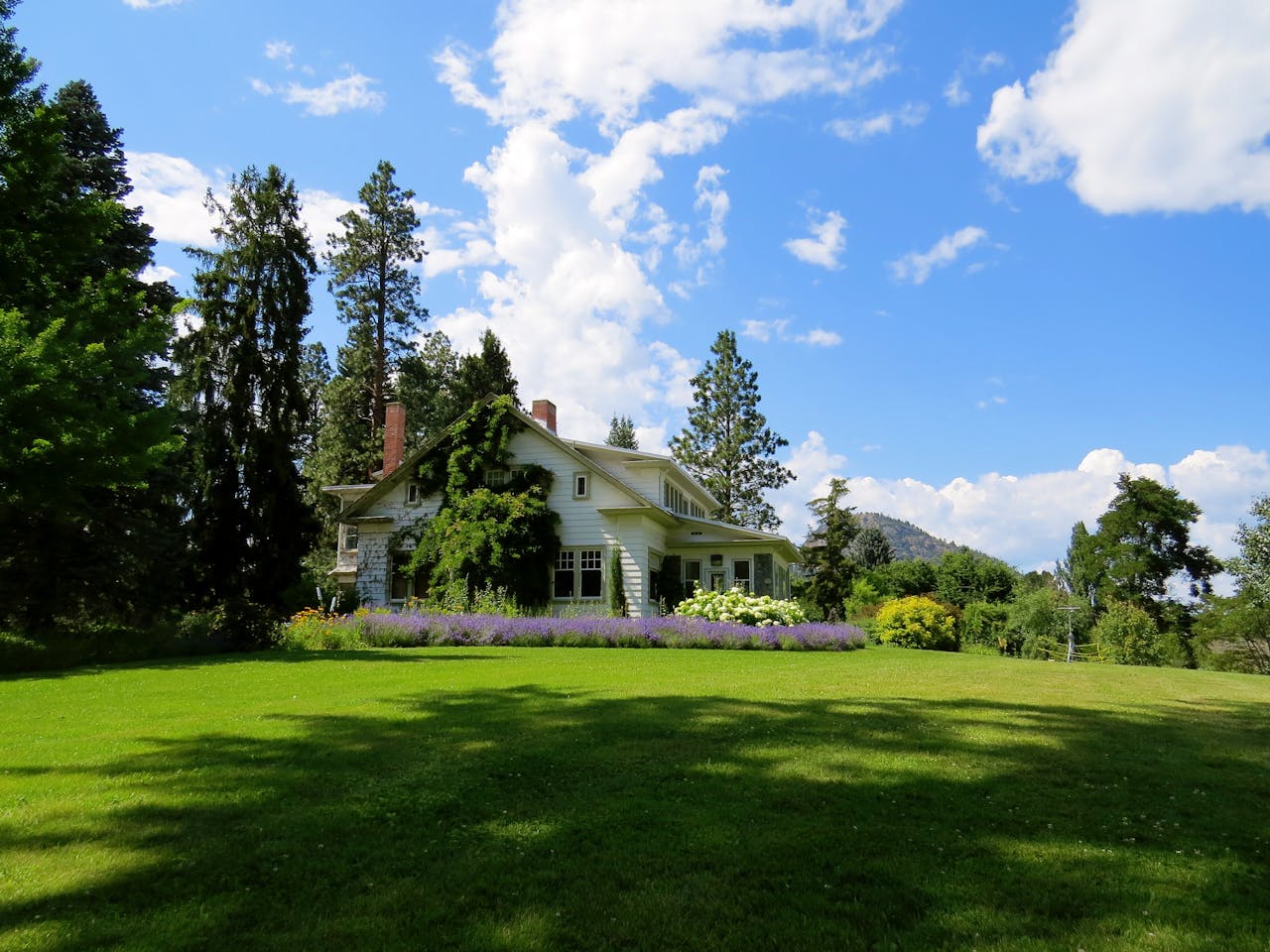 Der Schwarzwald, mit seinen dichten Wäldern, malerischen Dörfern und weitläufigen Wanderwegen, bietet die perfekte Kulisse für einen erholsamen Urlaub. Ein Schwarzwald Ferienhaus ist dabei die ideale Unterkunft, um die Schönheit dieser Region hautnah zu erleben. Ob du nach einer gemütlichen Hütte für romantische Stunden zu zweit suchst oder ein geräumiges Haus für den Familienurlaub benötigst, im Schwarzwald findest du eine Vielzahl an Optionen, die deinen Aufenthalt unvergesslich machen. Warum ein Schwarzwald Ferienhaus die ideale Wahl für Naturliebhaber ist Ein Urlaubsdomizil im Schwarzwald bietet nicht nur Privatsphäre und Komfort, sondern auch direkten Zugang zur Natur. Die einzigartige Lage vieler Ferienhäuser im Schwarzwald ermöglicht es dir, direkt von deiner Haustür aus auf Entdeckungstour zu gehen. Wanderungen durch die dichten Wälder, Fahrradtouren entlang kristallklarer Bäche und entspannte Spaziergänge durch blühende Wiesen sind nur einige der Aktivitäten, die du in unmittelbarer Nähe deines Ferienhauses genießen kannst. Für Naturliebhaber ist ein Aufenthalt in einem Urlaubsdomizil im Schwarzwald daher die perfekte Möglichkeit, die Ruhe und Schönheit der Natur zu erleben. Top-Aktivitäten rund um dein Schwarzwald Ferienhaus Die Region Schwarzwald ist bekannt für ihre vielfältigen Freizeitmöglichkeiten. Von deinem Schwarzwald Ferienhaus aus hast du die perfekte Ausgangsbasis, um die zahlreichen Attraktionen zu erkunden. Besuche die berühmten Triberger Wasserfälle, erkunde die malerische Lichtentaler Allee oder tauche in die Geschichte ein beim Besuch des Vogtsbauernhofes, einem Freilichtmuseum, das das ländliche Leben vergangener Jahrhunderte zeigt. Egal, ob du dich für Kultur, Geschichte oder die reine Natur begeisterst, rund um dein Schwarzwald Ferienhaus gibt es immer etwas zu entdecken. So findest du die ideale Unterkunft für deine Bedürfnisse Die Suche nach dem perfekten Ferienhaus kann eine Herausforderung sein, doch mit den richtigen Tipps wird sie zum Kinderspiel. Zunächst solltest du überlegen, welche Art von Urlaub du planst. Suchst du Ruhe und Abgeschiedenheit, könnte ein abgelegenes Ferienhaus im Wald ideal sein. Familien hingegen profitieren von einem Ferienhaus mit Garten, wo Kinder spielen können. Wichtig ist auch, die Ausstattung des Ferienhauses zu berücksichtigen. Ein Kamin für gemütliche Abende oder eine voll ausgestattete Küche für Selbstversorger sind nur einige der Merkmale, die dein Ferienhaus bieten kann. Kulinarische Entdeckungen nahe deiner Urlaubsunterkunft Ein Ferienhaus bietet dir nicht nur eine gemütliche Unterkunft, sondern auch die Möglichkeit, die kulinarische Vielfalt der Region zu entdecken. Die Schwarzwälder Küche ist bekannt für ihre herzhaften Spezialitäten und den berühmten Schwarzwälder Schinken. Viele Ferienhäuser liegen in der Nähe von Restaurants und Gasthöfen, wo du traditionelle Gerichte probieren kannst. Auch Bauernmärkte und regionale Erzeuger bieten frische Produkte an, mit denen du in deinem Schwarzwald Ferienhaus eigene Gerichte zaubern kannst. Tipps für einen nachhaltigen Aufenthalt in deinem Schwarzwald Ferienhaus Ein nachhaltiger Urlaub im Schwarzwald beginnt mit der Wahl des richtigen Ferienhauses. Viele Anbieter, wie Naturhaeuschen.de, legen Wert auf umweltfreundliche Unterkünfte, die sich harmonisch in die natürliche Umgebung einfügen. Du kannst deinen Aufenthalt nachhaltiger gestalten, indem du lokale Produkte kaufst, Müll trennst und die Natur respektierst. Auch die Nutzung von öffentlichen Verkehrsmitteln oder Fahrrädern für Ausflüge trägt dazu bei, die Umweltbelastung zu minimieren. Ein bewusster Umgang mit Ressourcen in deinem Schwarzwald Ferienhaus zeigt, dass dir die Erhaltung dieser wunderschönen Region am Herzen liegt.  Zusammenfassend bietet ein Urlaub in einem Schwarzwald Ferienhaus eine einzigartige Möglichkeit, die atemberaubende Natur, die Kultur und die kulinarischen Genüsse des Schwarzwaldes zu erleben. Mit der richtigen Planung und einem bewussten Umgang mit der Umwelt kannst du einen unvergesslichen und nachhaltigen Urlaub genießen. Für diejenigen, die auf der Suche nach der idealen Unterkunft sind, bietet www.naturhaeuschen.de eine Vielzahl an charmanten Ferienhäusern im Schwarzwald, die einen direkten Zugang zur Natur und eine gemütliche Atmosphäre garantieren.